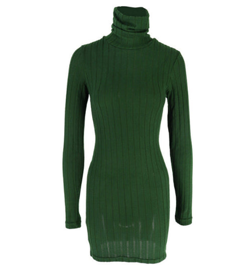 Milano Knit Turtleneck Dress