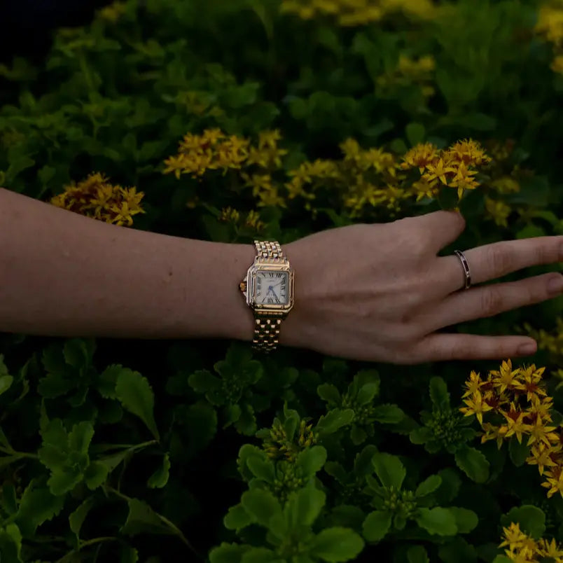Grealy - Calista  Drako Watches Women's Watches